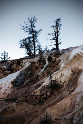 Terrain at Mammoth Springs