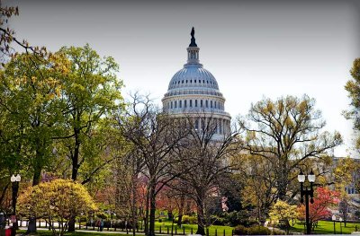 Capitol