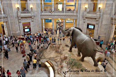 Museum of Natural History