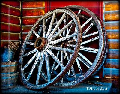 Wagon wheels, Yellowstone, WY