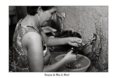 preparing lunch