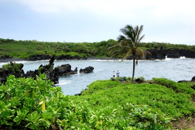 Maui scene