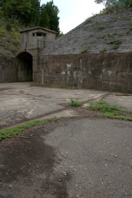 IMG_3545.JPG