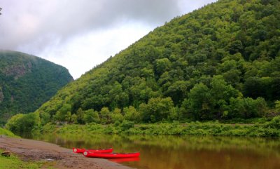 IMG_9372.JPG