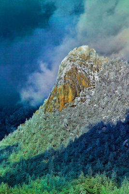 Lily Rock