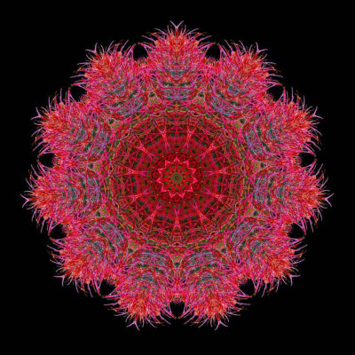 Barrel Cactus Mandala