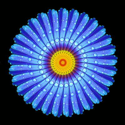 Blue Flower Mandala