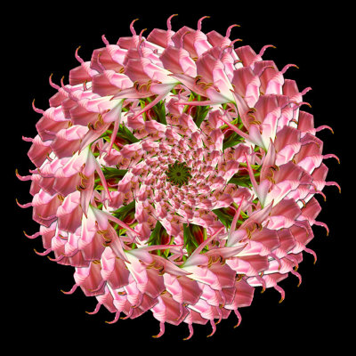 Glorious Mandala
