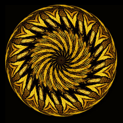 Wood Plate 1