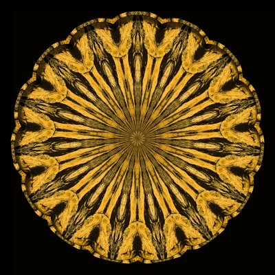 Wood Plate 3