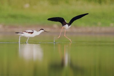 IMG_1671.JPG