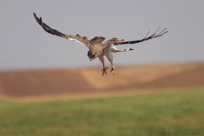 IMG_5674.JPG