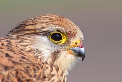 IMG_0489.jpg