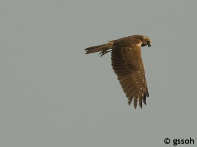 061104-CCV-33a.jpg