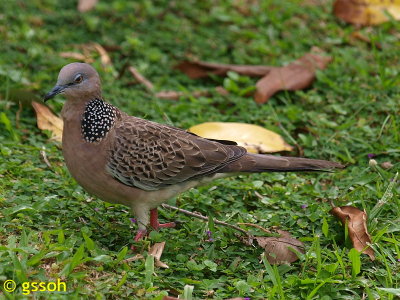 080216-BTG-127a.jpg