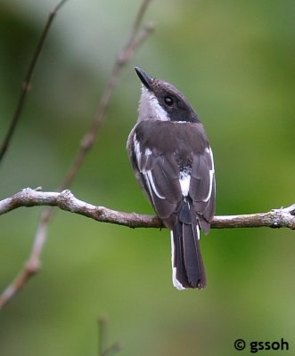 070916-AWA-19a.jpg