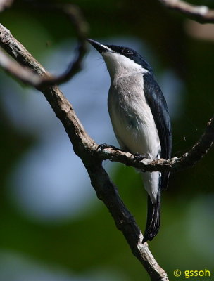 081227-PNG-16a.jpg