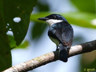 081227-PNG-23a.jpg