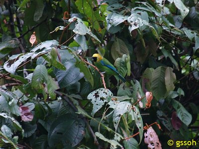 070304-BKTG-33a.jpg