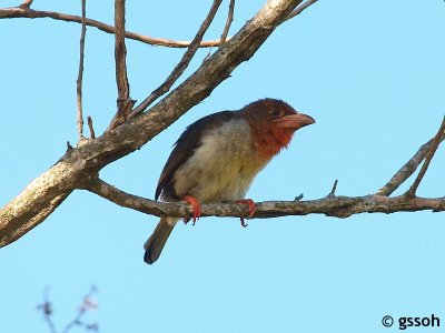 090318-KKNB-60a.jpg