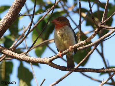 090318-KKNB-224a.jpg