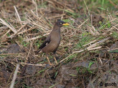071201-SBL-19a.jpg