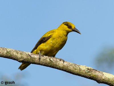 080120-CNG-09a.jpg