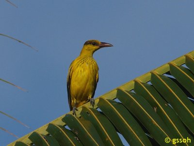 081227-PNG-04a.jpg