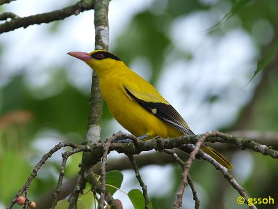 081018-CNG-98a.jpg