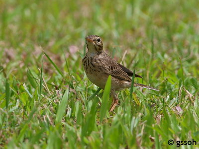 090404-CLEM-245a.jpg