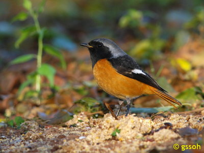 071222-DOI-41a.jpg