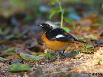 071222-DOI-42a.jpg