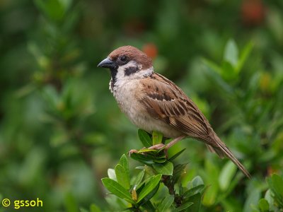 080216-BTG-178a.jpg
