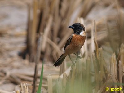 071219-DOI-147a.jpg
