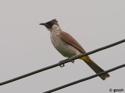 090613-MOG-239a.jpg