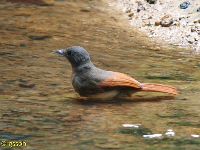 100422-SEPI-374a.jpg