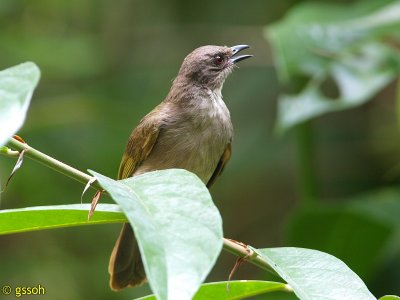 100424-SEPI-155a.jpg