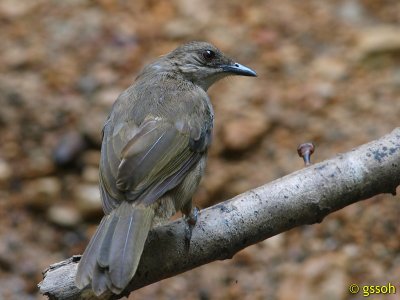 100424-SEPI-167a.jpg