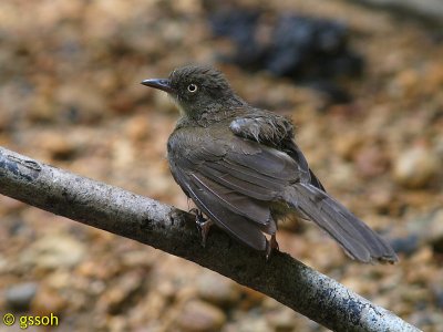 100424-SEPI-185a.jpg