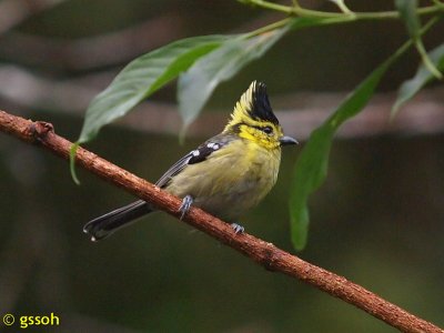 101116-DOI-11a.jpg
