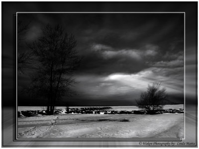 g1/21/901021/3/109867701.J81Ax08b.jpg