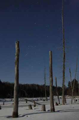 Orion Amongst the Dead, French River Ontario