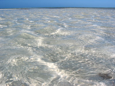 water.jpg