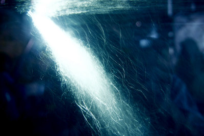 06 -water
