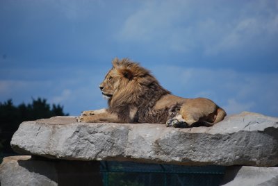 Road Trip Summer 2009 2 095.jpg