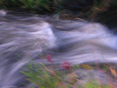 g1/21/901021/3/116869704.SmouxyWr.jpg