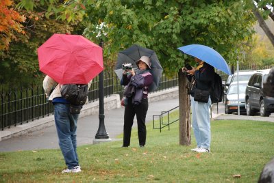 DSC_1479.JPG