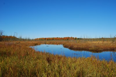 Near Silver Lake, Ontario