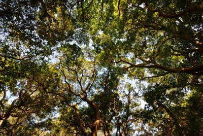 World Heritage - Sefa Utaki, Okinawa, Japan