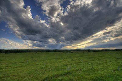 landscape (sample)